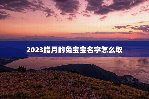 2023腊月的兔宝宝名字怎么取