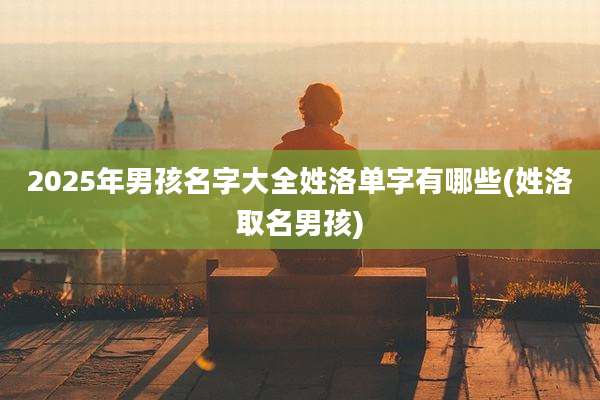 2025年男孩名字大全姓洛单字有哪些(姓洛取名男孩)