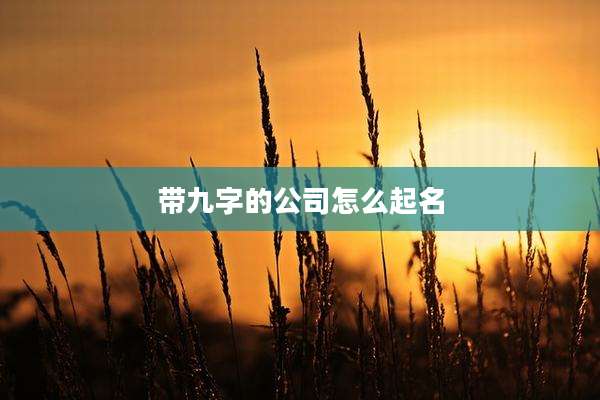 带九字的公司怎么起名