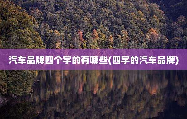 汽车品牌四个字的有哪些(四字的汽车品牌)
