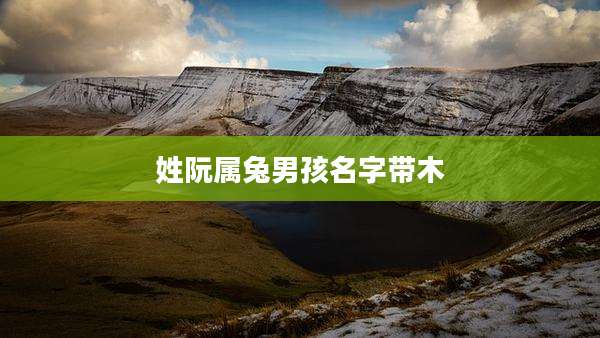 姓阮属兔男孩名字带木