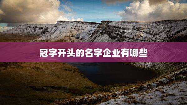 冠字开头的名字企业有哪些