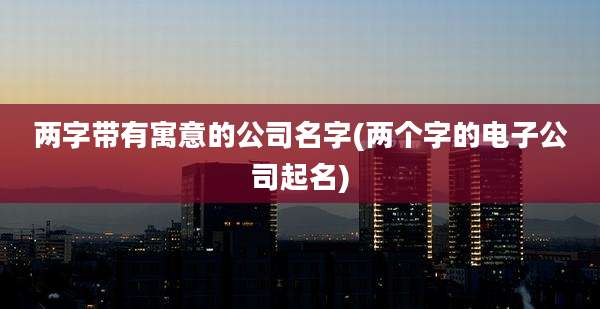 两字带有寓意的公司名字(两个字的电子公司起名)