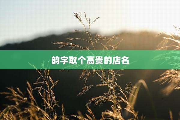 韵字取个高贵的店名