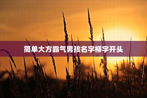 简单大方霸气男孩名字柳字开头