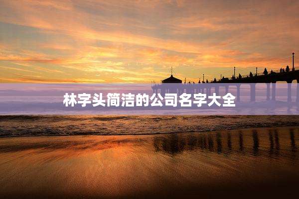 林字头简洁的公司名字大全