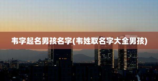 韦字起名男孩名字(韦姓取名字大全男孩)