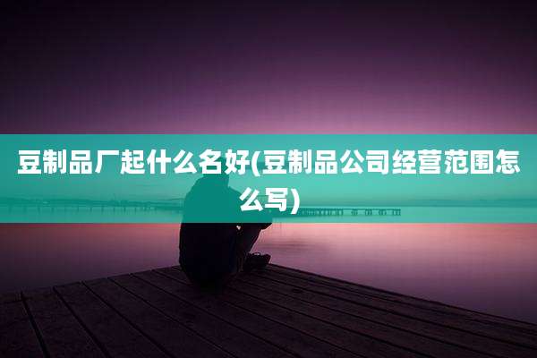 豆制品厂起什么名好(豆制品公司经营范围怎么写)