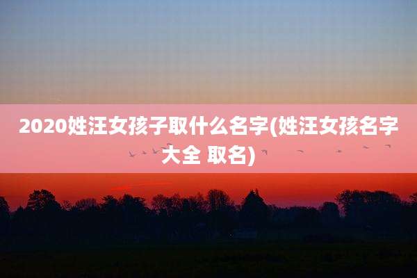 2020姓汪女孩子取什么名字(姓汪女孩名字大全 取名)