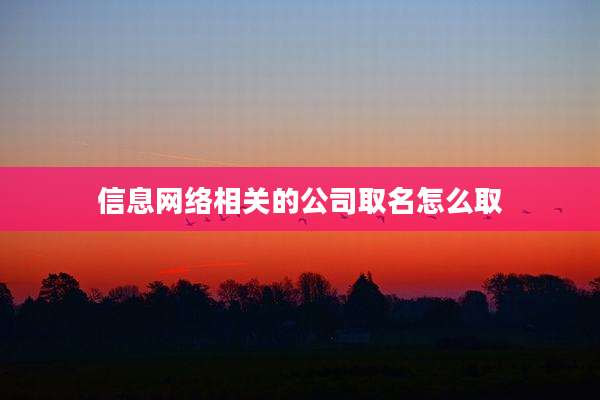 信息网络相关的公司取名怎么取