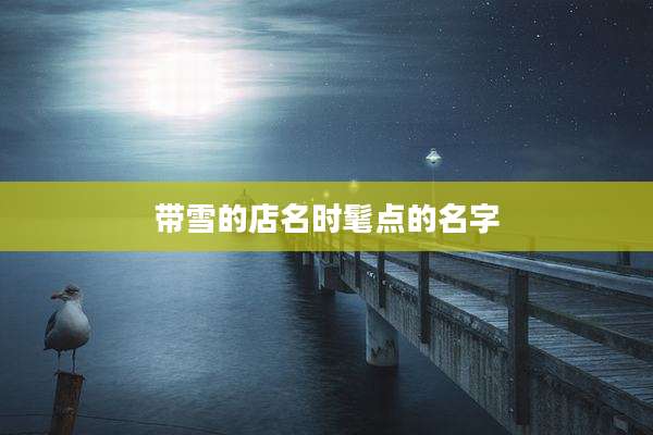带雪的店名时髦点的名字