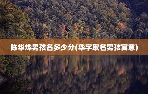 陈华烨男孩名多少分(华字取名男孩寓意)
