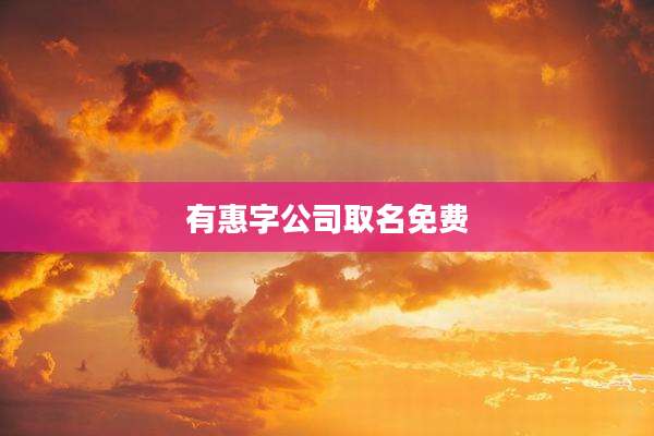 有惠字公司取名免费