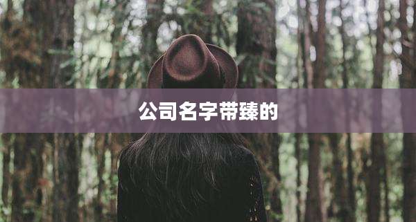 公司名字带臻的
