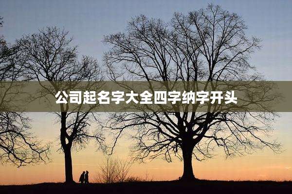 公司起名字大全四字纳字开头