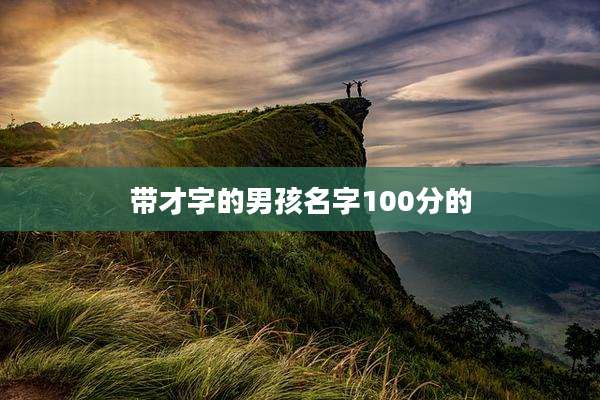 带才字的男孩名字100分的
