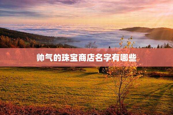 帅气的珠宝商店名字有哪些