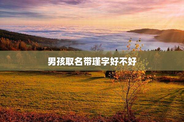 男孩取名带瑾字好不好