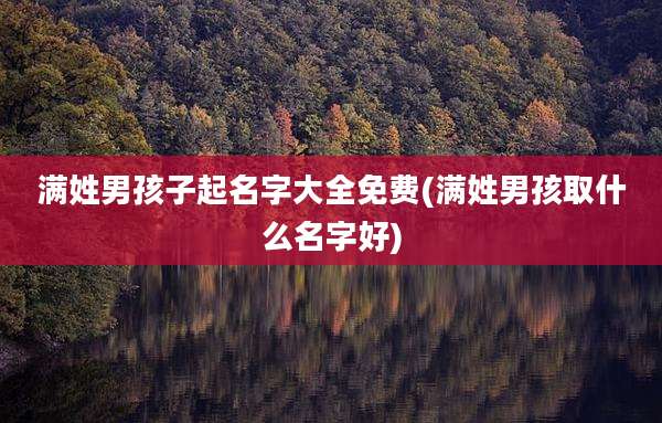 满姓男孩子起名字大全免费(满姓男孩取什么名字好)