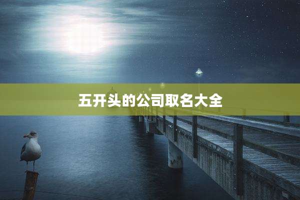 五开头的公司取名大全