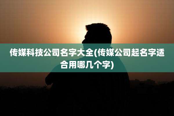 传媒科技公司名字大全(传媒公司起名字适合用哪几个字)