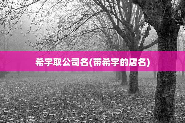 希字取公司名(带希字的店名)