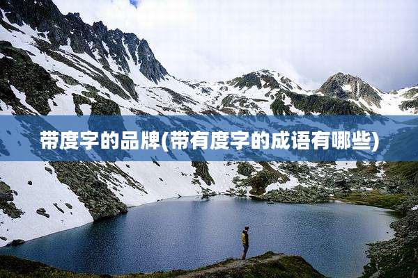 带度字的品牌(带有度字的成语有哪些)