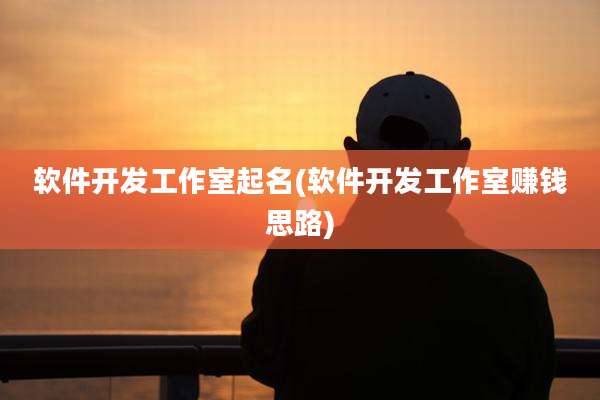 软件开发工作室起名(软件开发工作室赚钱思路)