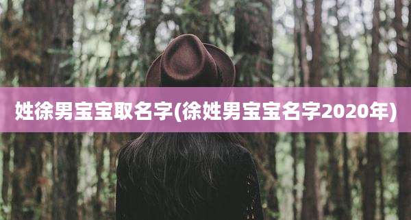 姓徐男宝宝取名字(徐姓男宝宝名字2020年)