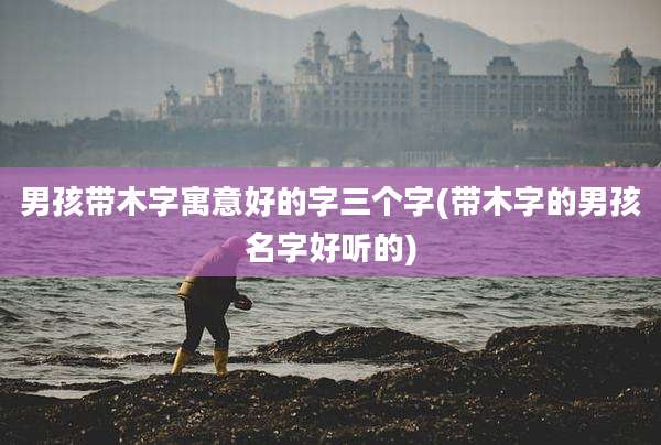 男孩带木字寓意好的字三个字(带木字的男孩名字好听的)