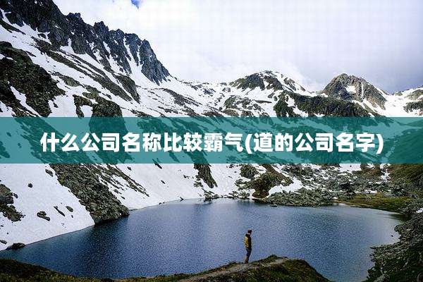 什么公司名称比较霸气(道的公司名字)
