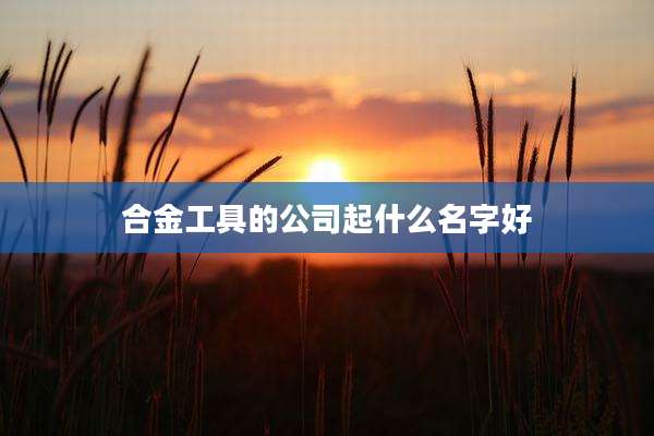 合金工具的公司起什么名字好