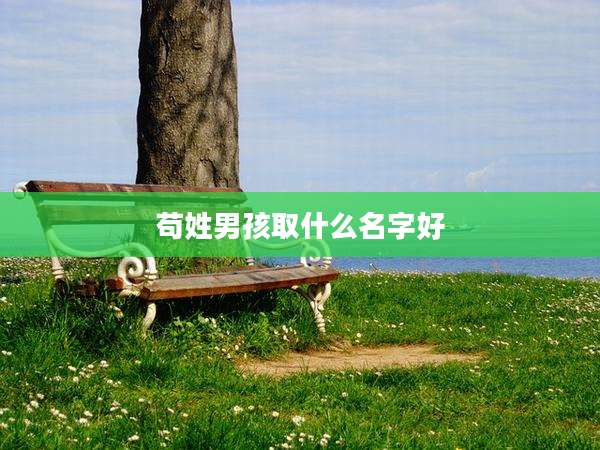 苟姓男孩取什么名字好