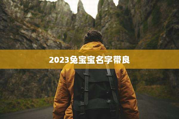 2023兔宝宝名字带良