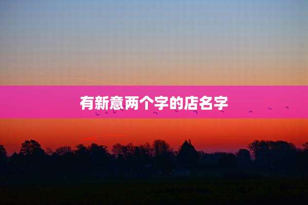 有新意两个字的店名字