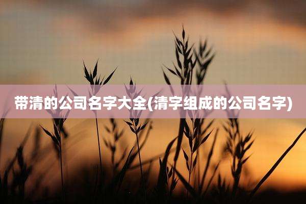 带清的公司名字大全(清字组成的公司名字)