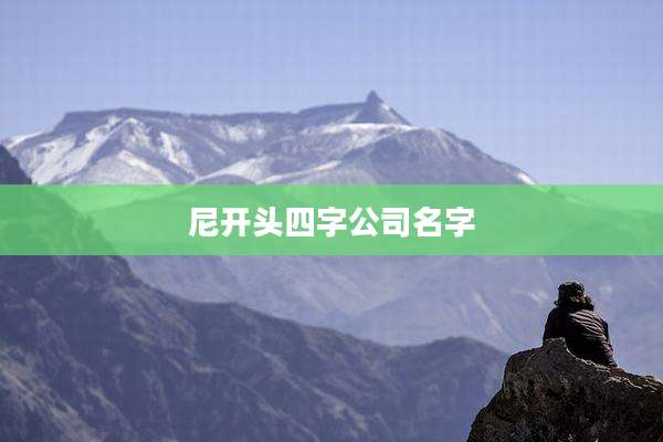 尼开头四字公司名字