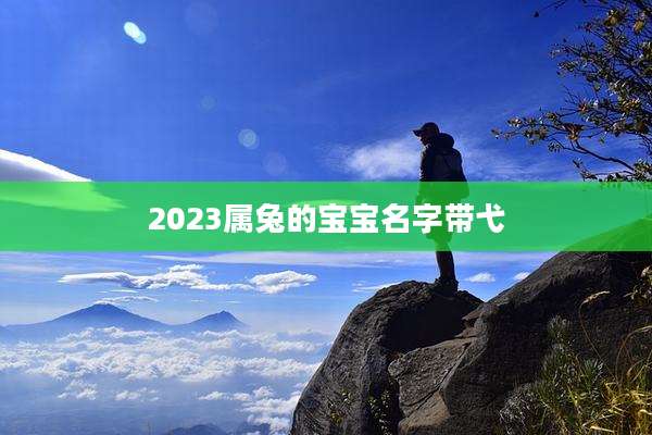2023属兔的宝宝名字带弋
