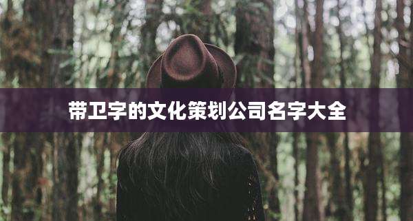 带卫字的文化策划公司名字大全