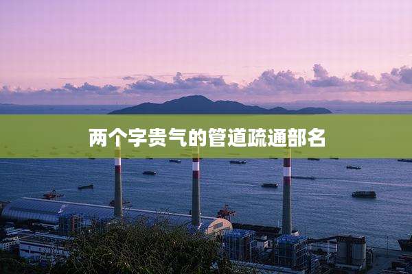 两个字贵气的管道疏通部名