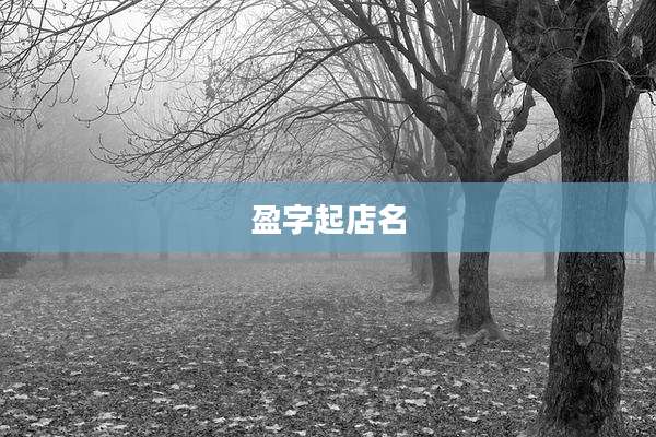 盈字起店名