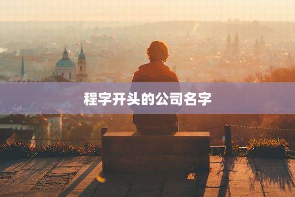 程字开头的公司名字