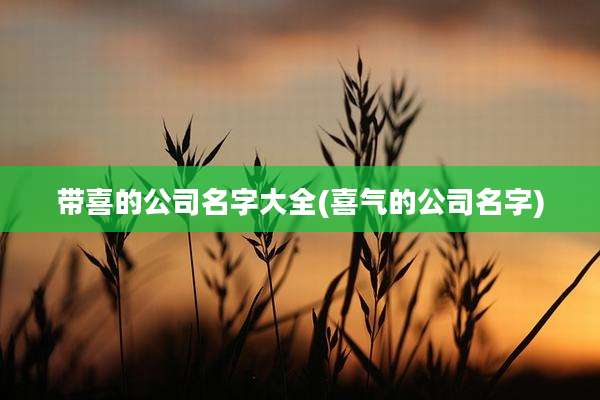 带喜的公司名字大全(喜气的公司名字)