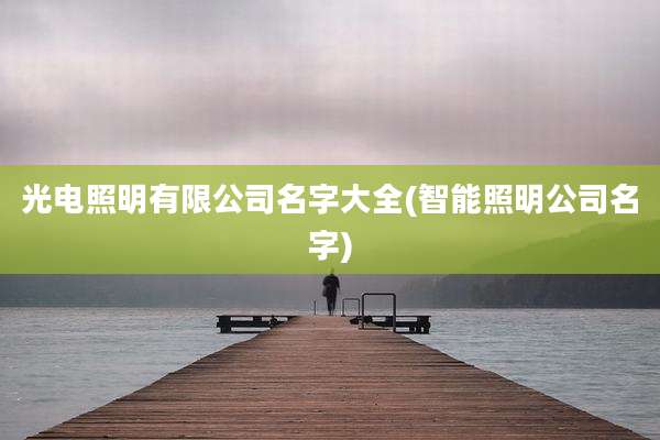 光电照明有限公司名字大全(智能照明公司名字)