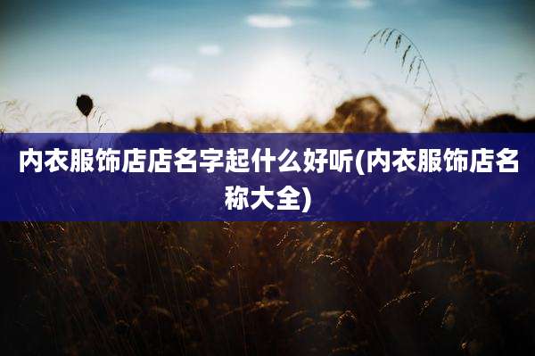 内衣服饰店店名字起什么好听(内衣服饰店名称大全)