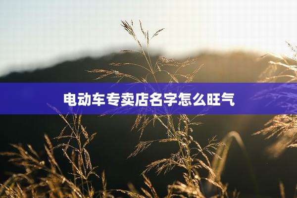 电动车专卖店名字怎么旺气