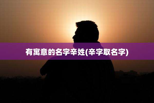 有寓意的名字辛姓(辛字取名字)