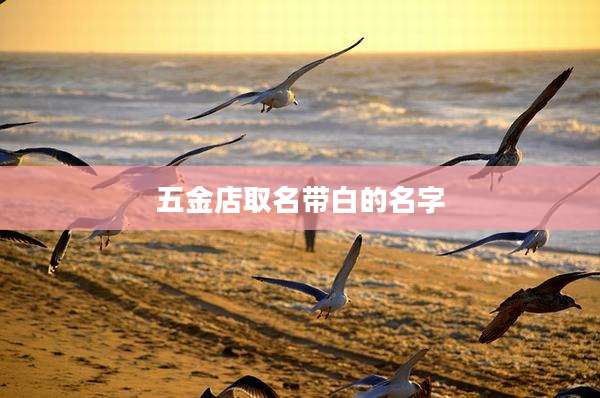 五金店取名带白的名字