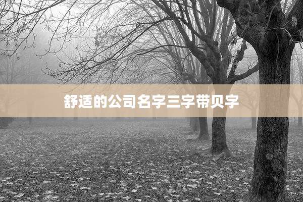 舒适的公司名字三字带贝字