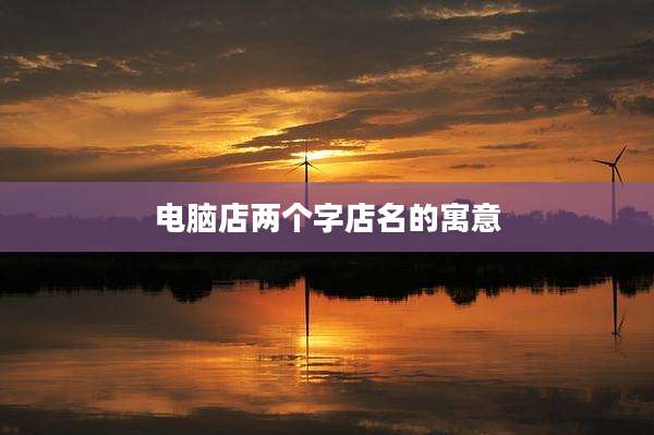 电脑店两个字店名的寓意